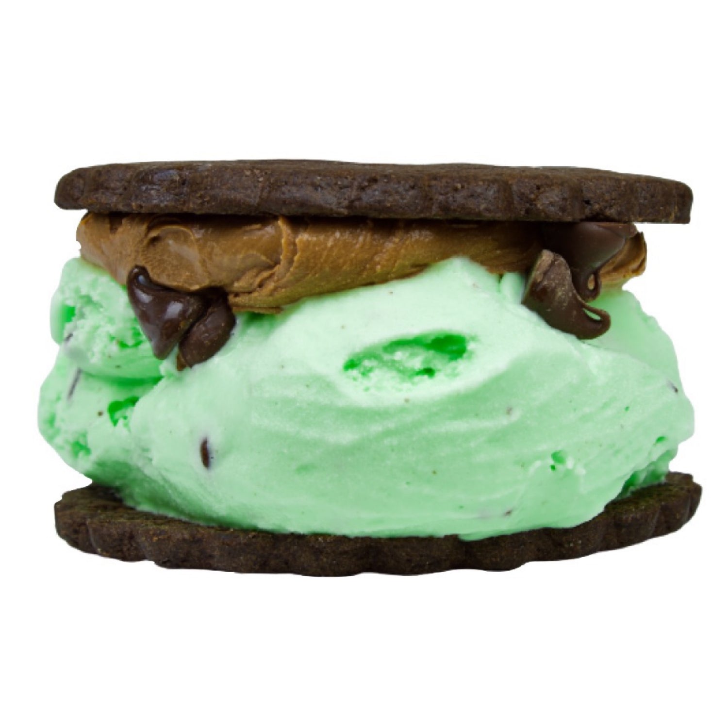 CHOCOLATE MINT