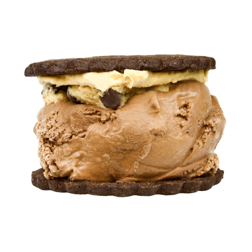 Experience Peanut Butter Cookie Dough Bliss Gourmet Ice Cream