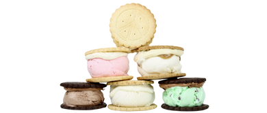 Build Your Own 6-Pack