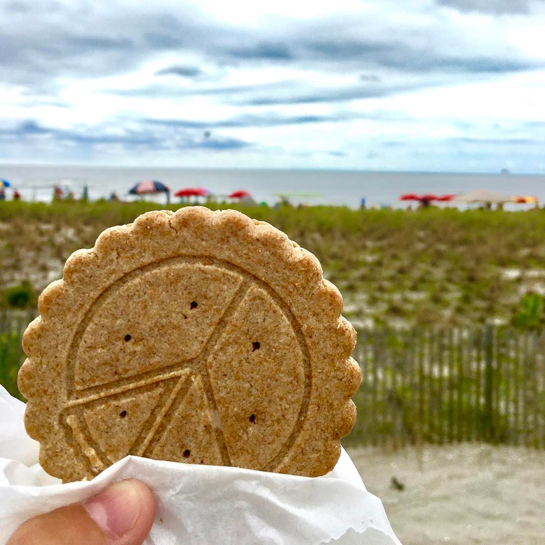 Peace Pie at the beach